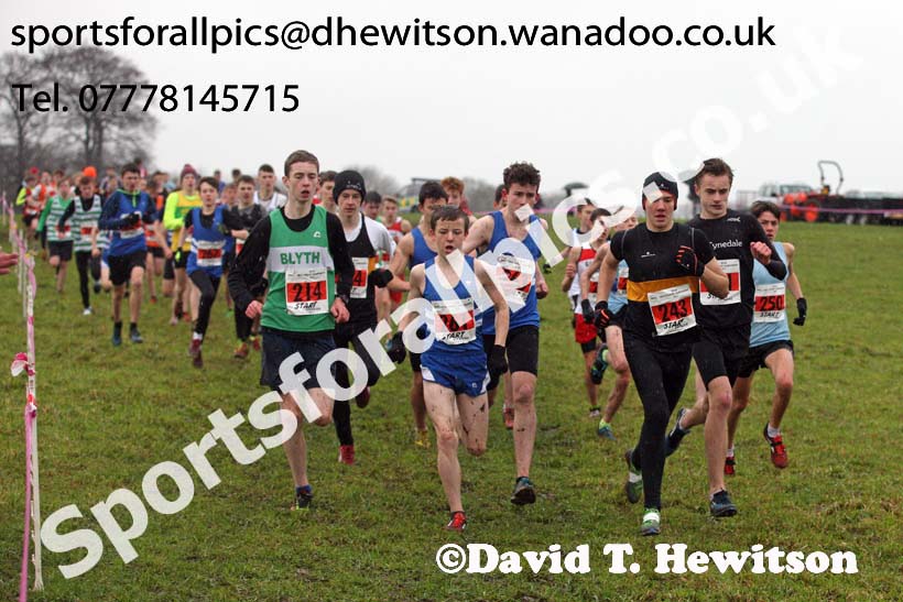 Boys under-15s North Eastern Cross Country, Sedgefield, County Durham. Photo: David T. Hewitson/Sports for All Pics